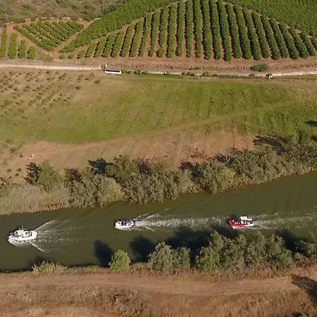 Turtle By Algarve Vacation Vila *