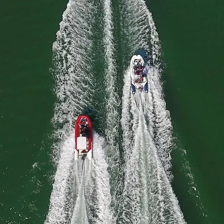 Turtle By Algarve Vacation Vila Albufeira