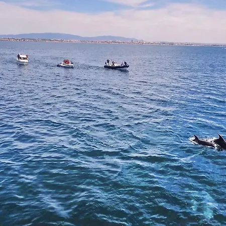 Turtle By Algarve Vacation Vila *