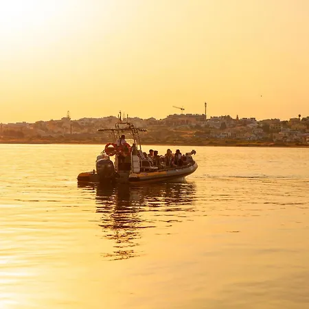 Turtle By Algarve Vacation * Albufeira