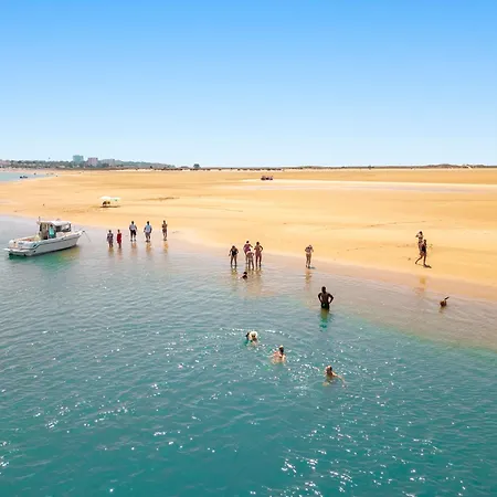 Turtle By Algarve Vacation