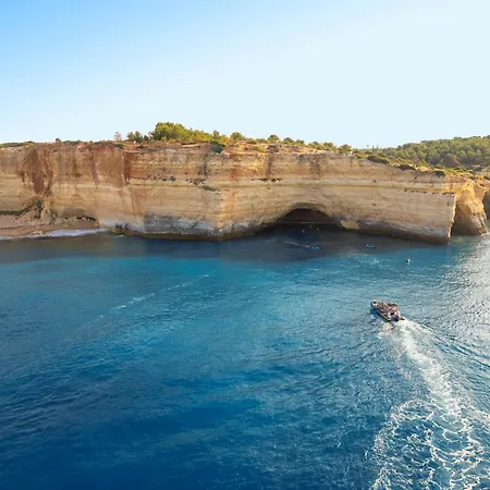 Turtle By Algarve Vacation Albufeira