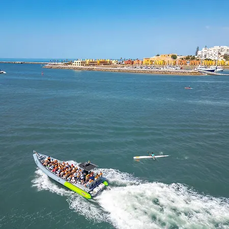 Turtle By Algarve Vacation