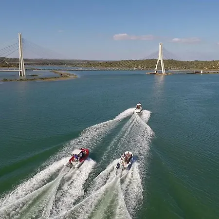 Turtle By Algarve Vacation * Albufeira