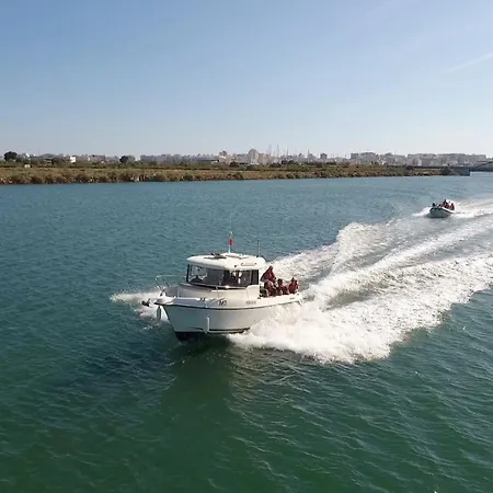 Turtle By Algarve Vacation