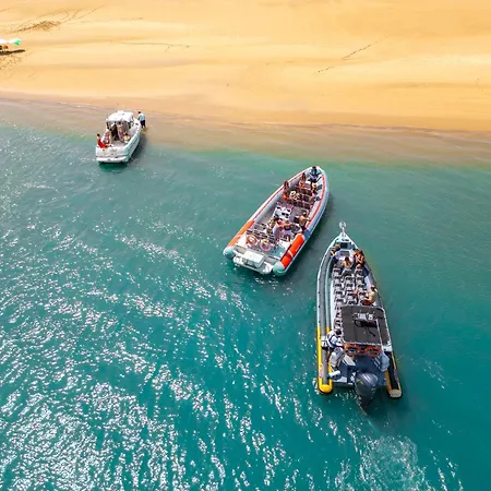 Turtle By Algarve Vacation Albufeira